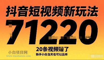 抖音短视频新玩法，20条视频挣了1w+，新手小白当天也可以出单-小白项目分享网