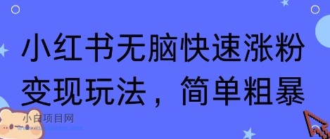 小红书无脑快速涨粉变现玩法,简单粗暴