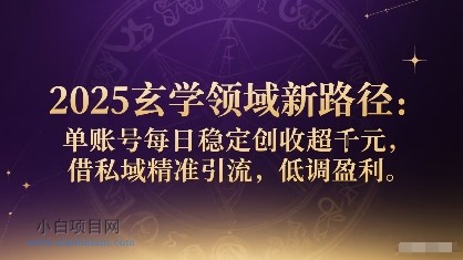 2025玄学领域新路径:单账号每日稳定创收1k+,借私域精准引流,低调盈利-小白项目分享网