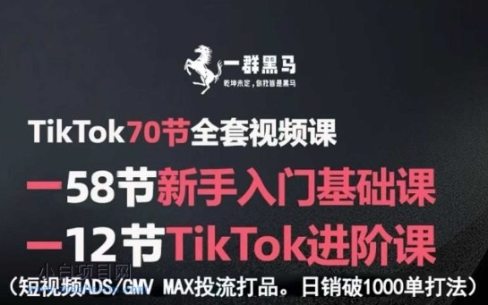 TikTok全套视频课,新手入门+进阶课,短视频ADS-GMV MAX投流打品,日销破1000单打法
