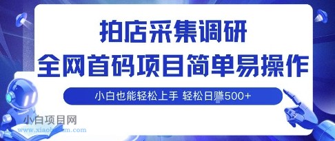 拍店采集调研,全网首码项目,简单易操作, 小白也能轻松上手,多账号操作,轻松日入5张【揭秘】