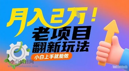 月入2W！老项目翻新玩法，小白上手就能做，非常容易上手-小白项目分享网