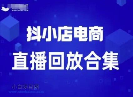 短视频电商:抖小店变现从0到盈利过直播回放
