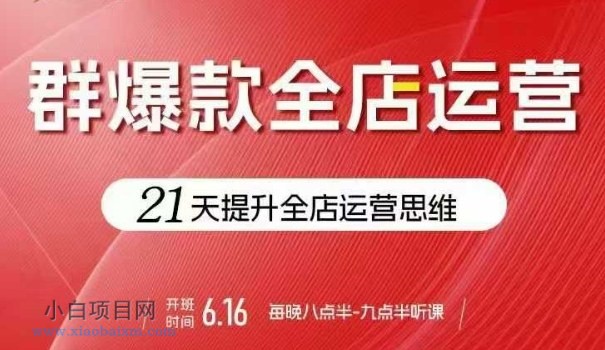 贾真电商群爆款全店运营,21天提升全店运营思维,起店、全店运营爆款不断