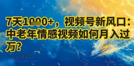 7天收益1k+，视频号新风口：中老年情感视频如何月入过W?-小白项目分享网