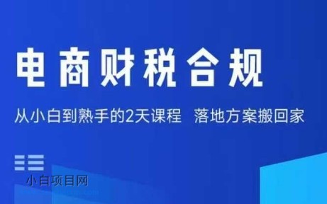 电商财税合规线下课，适合老板+财务，教你规避涉税风险，实现低成本合规经营-小白项目分享网