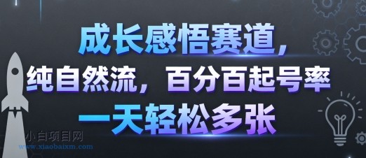 成长感悟赛道,纯自然流,百分百起号率 一天轻松多张-小白项目分享网