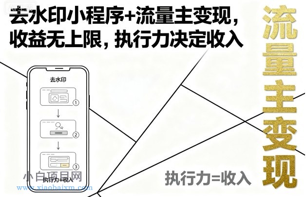 去水印小程序+流量主变现，收益无上限，执行力决定收入-小白项目分享网