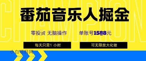 番茄音乐人掘金,单账号最高可撸1k+,可无限矩阵去做,零投入