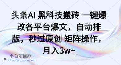 头条AI 黑科技搬砖 一键爆改各平台爆文，自动排版，秒过原创 矩阵操作，月入3w+【揭秘】-小白项目分享网