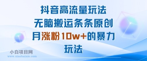 抖音高流量玩法：无脑搬运条条原创，月涨粉10w+的暴力玩法-小白项目分享网