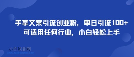 手掌文案引流创业粉，单日引流100+，可适用任何行业，小白轻松上手-小白项目分享网