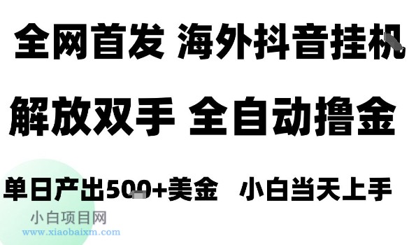 海外抖音无人直播，单日产出1.5k+，长期稳定，新手可玩，无脑操作【揭秘】-小白项目分享网
