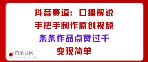 抖音赛道：口播解说，手把手教你制作原创视频，条条作品点赞过千，变现简单-小白项目分享网