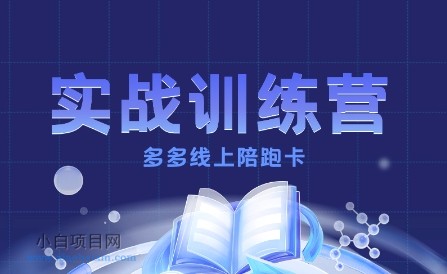 多多实战训练营,从0到1打造一个真正賺钱的店铺-小白项目分享网