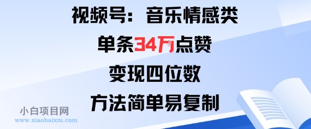 视频号分成计划新玩法:音乐情感类单条34W点赞,变现四位数,方法简单易复制-小白项目分享网