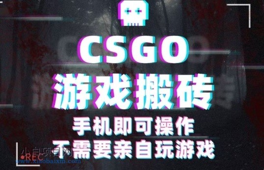 CSGO游戏挂G捡漏,单日扫货5张+,年底小高峰上车可吃肉,手机即可操作,兼职副业创业网创【揭秘】-小白项目分享网
