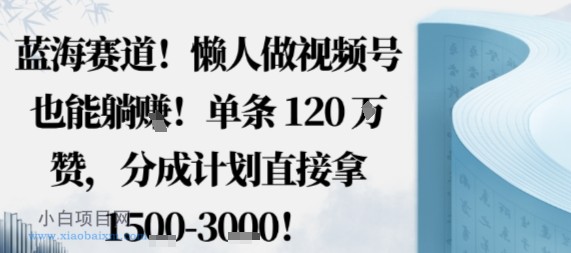 蓝海赛道,懒人做视频号也能躺挣,单条120W赞,分成计划直接拿1.5k,不用拍不用剪-小白项目分享网