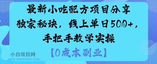 最新小吃配方项目分享独家秘诀，线上单日5张，手把手教学实操-小白项目分享网