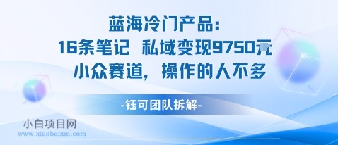 蓝海项目：16条笔记私域变现9750米小众赛道操作的人不多-小白项目分享网