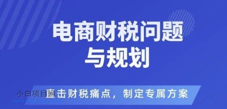 电商企业财税风险与规避,直击财税痛点,制定专属方案-小白项目分享网