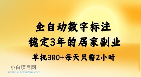 全自动数字标注,稳定3年的蓝海项目,居家也能矩阵开干的副业,单机日入3张+【揭秘】