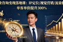 商业咨询变现落地课：IP定位/视觉营销/流量转化，单客单价提升300%-小白项目分享网