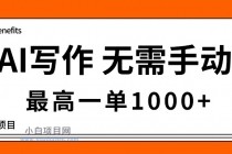AI写作，无需手动，最高一单1000+，主副业都可以，蓝海长期项目-小白项目分享网