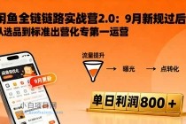 闲鱼变现课3.0:掌握链接优化、流量提升、商业变现,单日利润800+