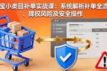 淘宝小类目补单实战课:系统解析补单全流程、降权风险及安全操作