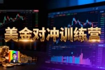 美金对冲日盈利100+美刀,长期稳定,小白也可以轻松上手