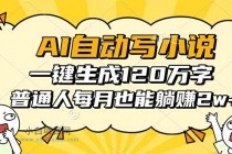 AI自动写小说，一键生成120万字，普通人每月也能躺赚2w+-小白项目分享网