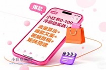 小红书0-100冷启动实战：流量算法+爆款选品+爆款文案+视频剪辑+矩阵搭建-小白项目分享网