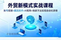 外贸新模式实战课程,账号搭建+截流技术+AI矩阵+独家方法实现自动化获客