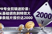 PR专业剪辑进阶课：从基础调色到特效大片的进阶技能，单条短片报价达2000-小白项目分享网