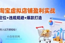 淘宝虚拟店铺盈利实战：定位+违规规避+爆款打造，月入过万很轻松！-小白项目分享网
