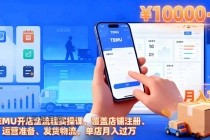 TEMU开店全流程实操课，覆盖店铺注册、运营准备、发货物流，单店月入过万-小白项目分享网