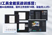 AI工具全能实战训练营：掌握AI应用技能，提升工作效率10倍，副业月入3万+-小白项目分享网