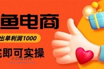 闲鱼高利润电商，当天上架当天出单，一单利润300-小白项目分享网