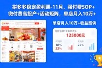 拼多多稳定盈利课-11月，强付费SOP+微付费高投产+活动矩阵，单店月入10万+-小白项目分享网