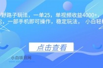 抖音手游野路子玩法，一单25，单视频收益4000+，日入几千轻轻松松，一…-小白项目分享网