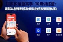 拼多多运营高手-10月训练营：讲解从新手到高阶玩法的完整运营体系！-小白项目分享网