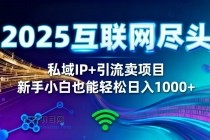 2025网创尽头王炸项目！私域 IP + 精准引流，新手小白在家躺赚日入 1000+-小白项目分享网