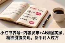 小红书养号+内容发布+AI做图实操,精准引流变现,新手月入过万
