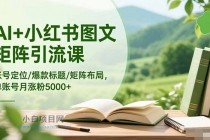AI+小红书图文矩阵引流课：账号定位/爆款标题/矩阵布局/单账号月涨粉5000+-小白项目分享网