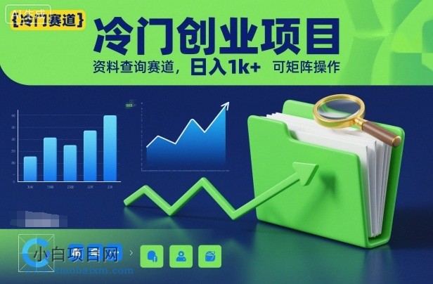 【匠心小白】冷门创业项目,资料查询赛道,日入1k+,可矩阵操作