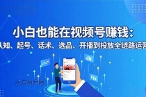 小白也能在视频号赚钱：认知、起号、话术、选品、开播到投放全链路运营-小白项目分享网