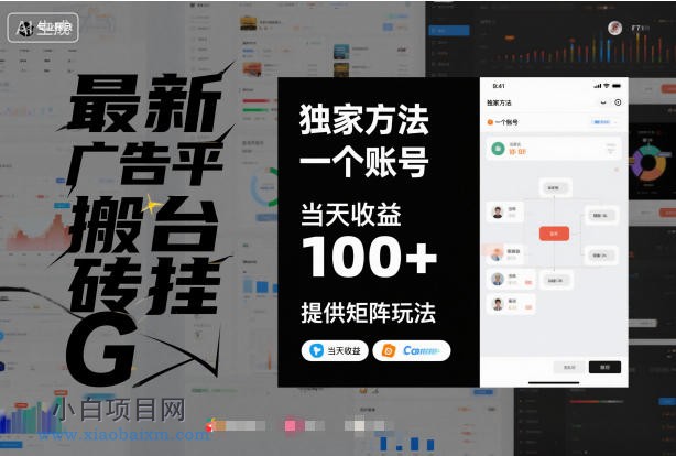 【匠心小白】最新广告平台搬砖挂G，独家方法，一个账号，当天收益100+，提供矩阵玩法【揭秘】-小白项目分享网