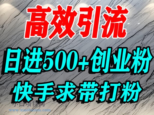 【匠心小白】怎么打创业粉？快手求带视角精准引流创业粉，宝妈、学生群体日进500+精准流量-小白项目分享网