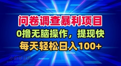 【匠心小白】问卷调查暴利项目，0撸无脑操作，提现快，每天轻松日入100+【揭秘】-小白项目分享网